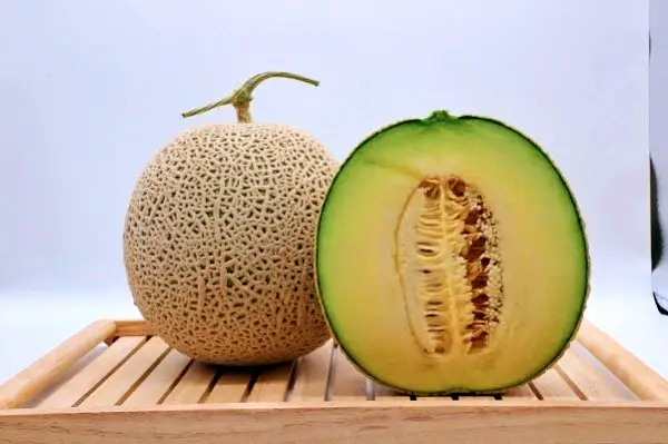 6시내고향 셰프의 선물 멜론 가스파초, 멜론 오징어 샐러드, 멜론 연어 꼬치 레시피 만드는 방법 
