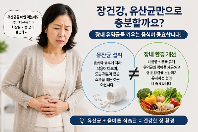 장건강에 유산균보다 좋은 음식? 매일 먹으면 좋은 장 건강 식품 3가지
