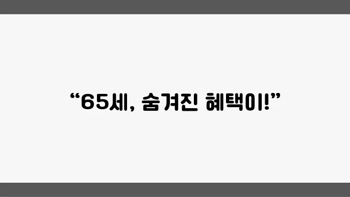 교통비 할인 혜택을 받는 65세 이상 노인