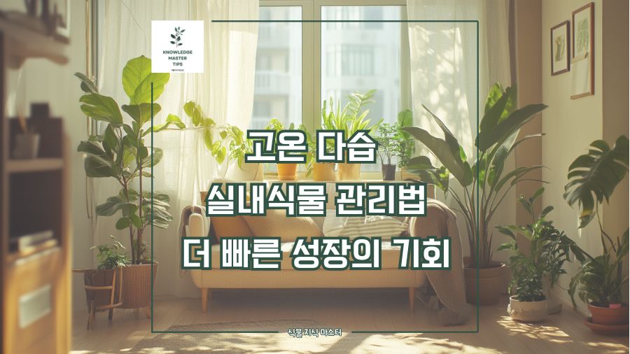 고온 다습 실내 식물 관리법, 푹푹 찌고 습한 여름에 식물 더 빨리 성장 시키기
