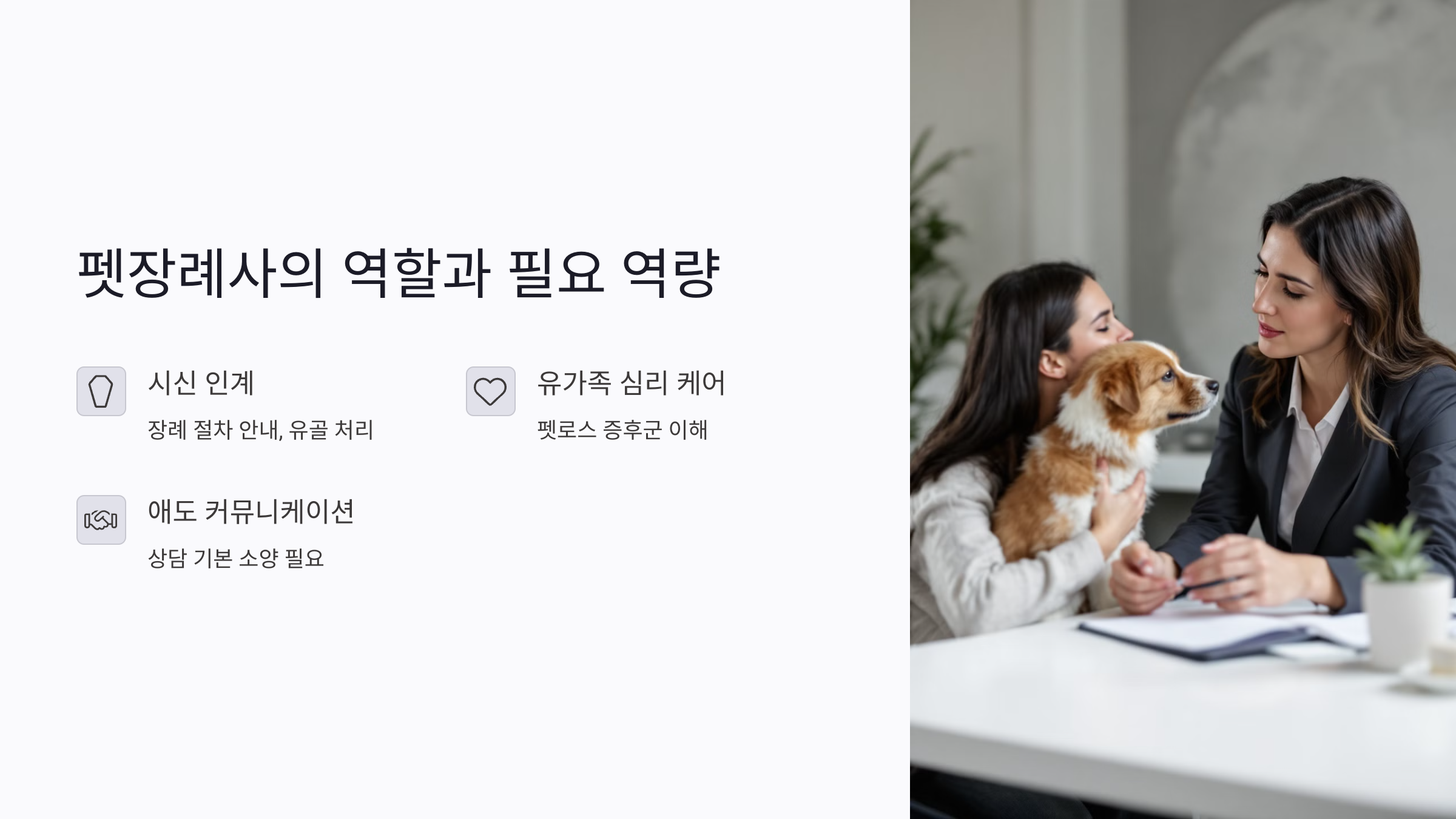 펫장례사란? 반려동물의 마지막을 책임지는 직업