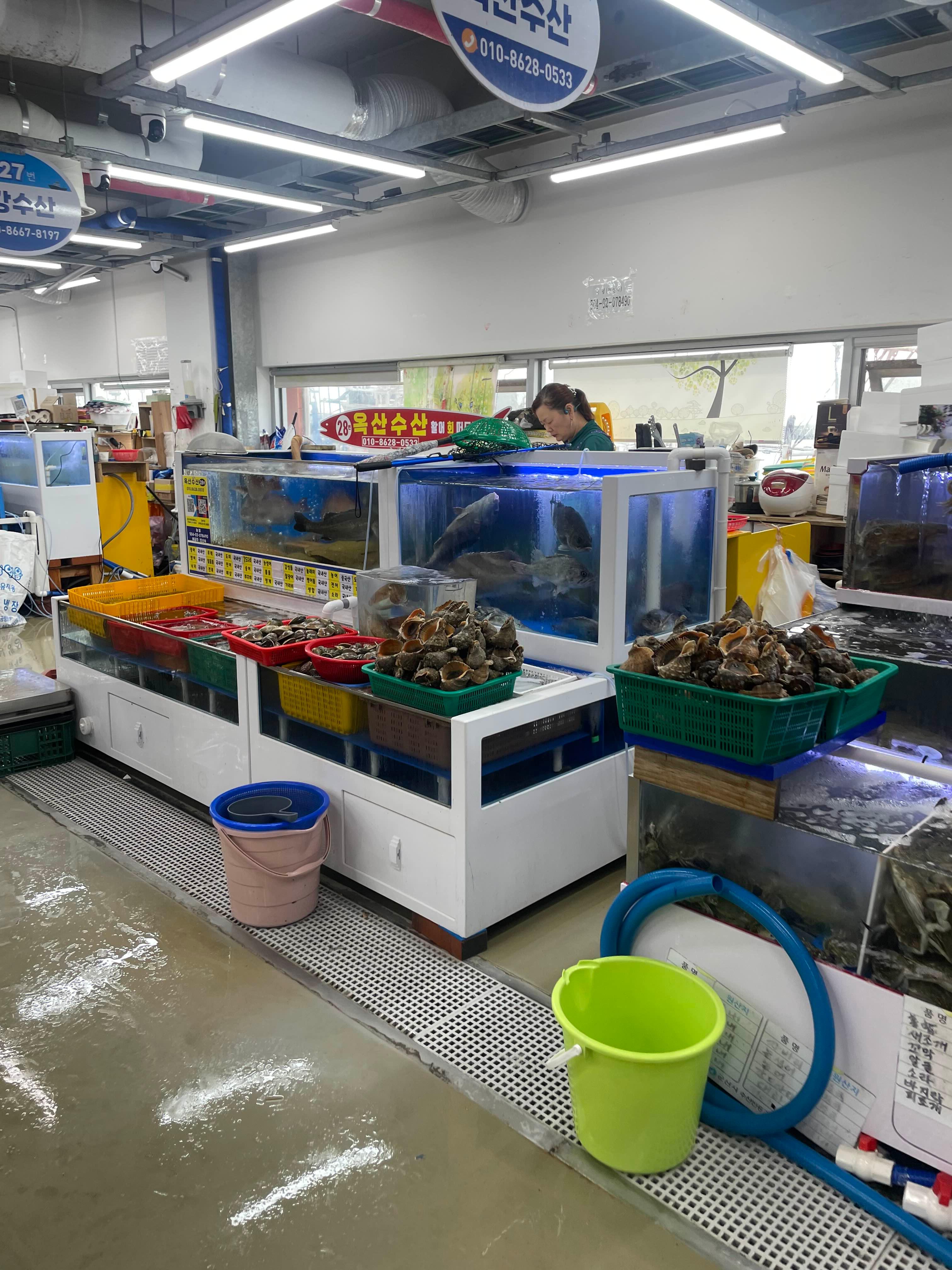 군산여행 필수 코스 군산수산물종합센터