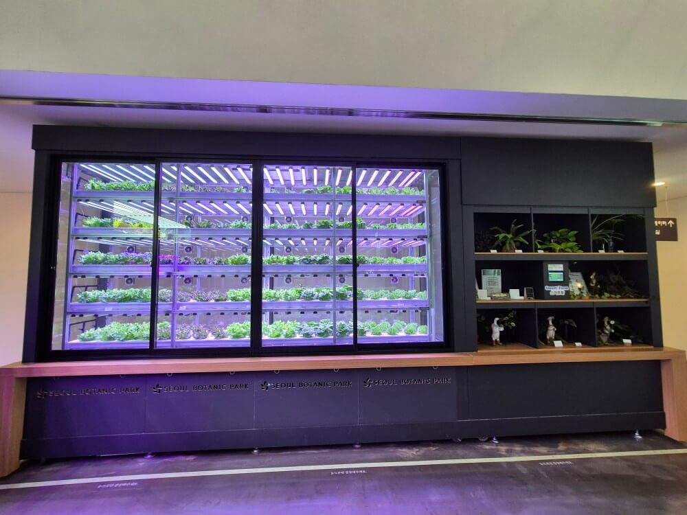 서울식물원 관련 사진8