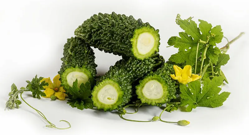 여주 나뭇잎과 꽃 그리고 생 여주를 반으로 잘라 놓은 사진