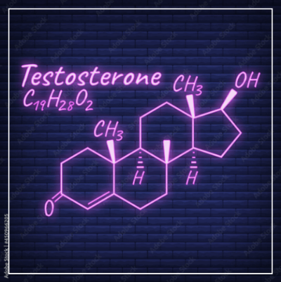 남성호르몬(테스토스테론)화학식그림