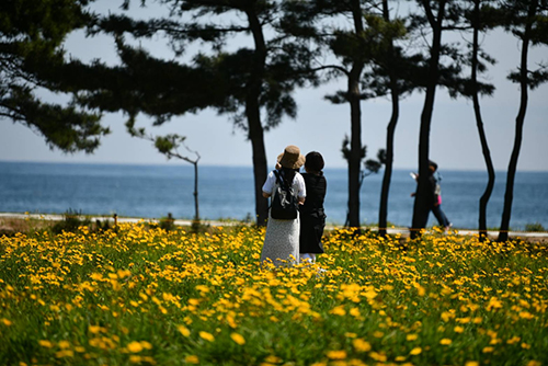 속초해변1