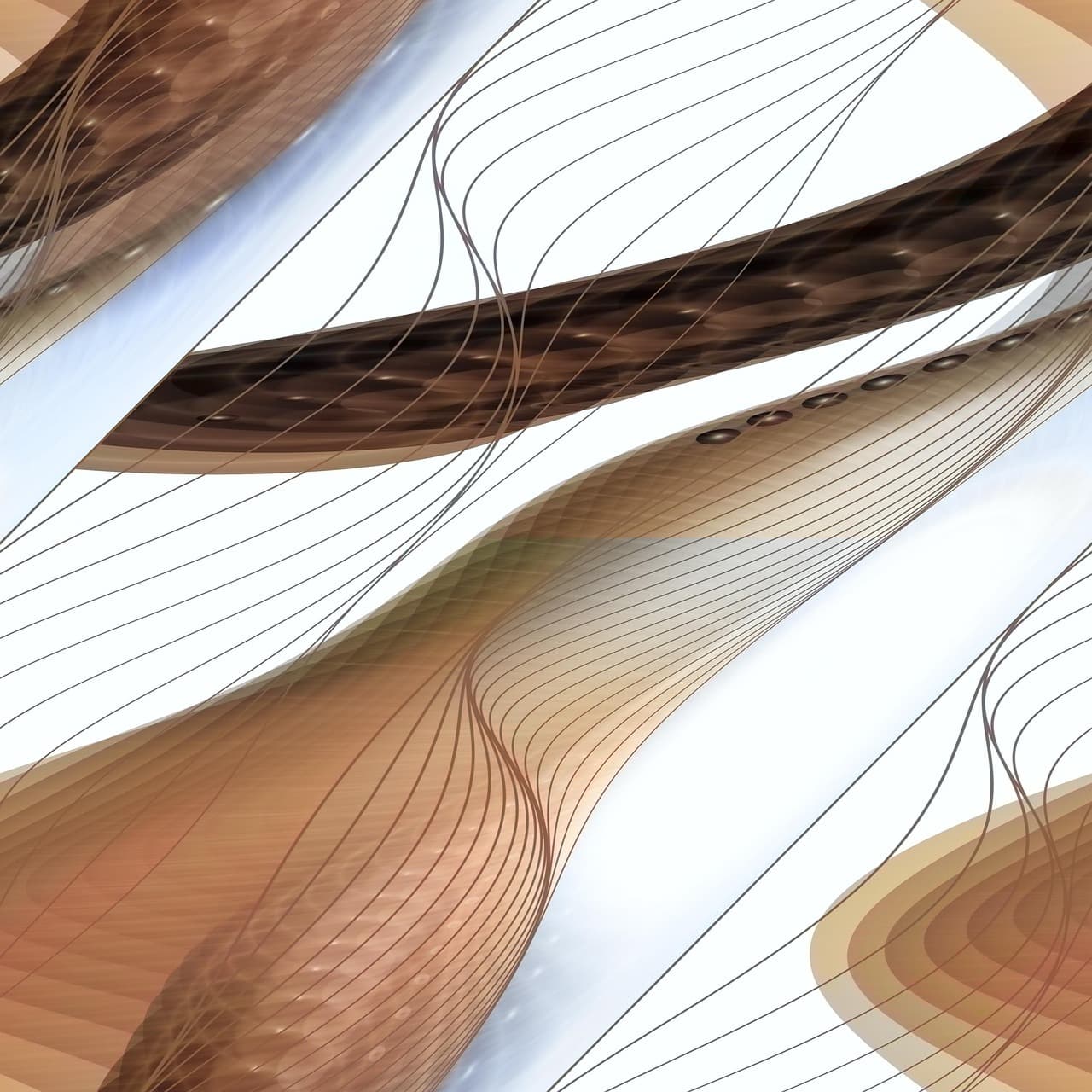 정보 과잉 시대의 선택력 &mdash; &lsquo;인지적 미니멀리즘&rsquo;의 심리학