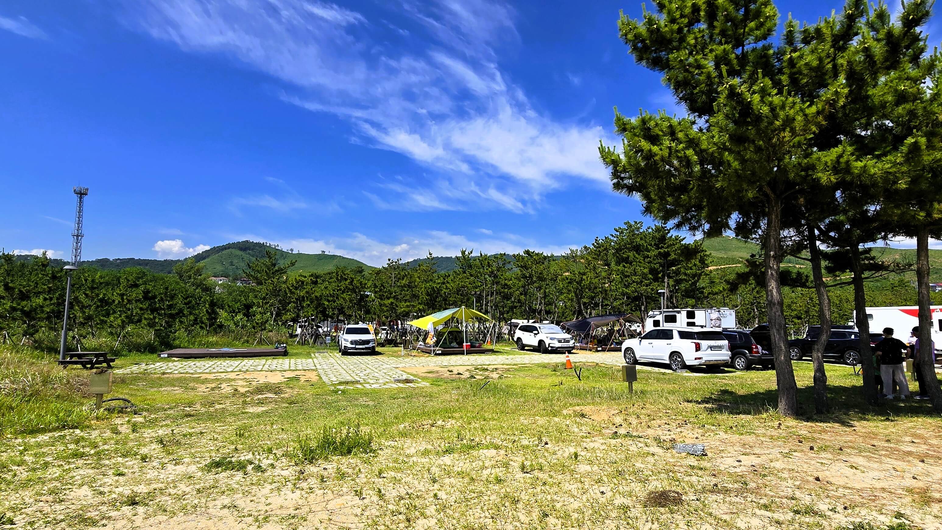 망상오토캠핑리조트 명당추천 - 12&amp;#44;13번 사이트