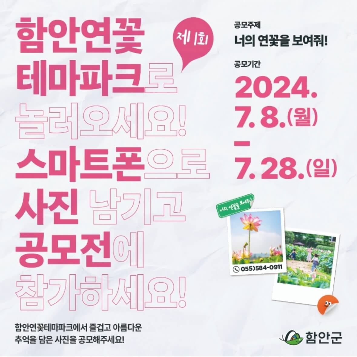 함안연꽃축제기간