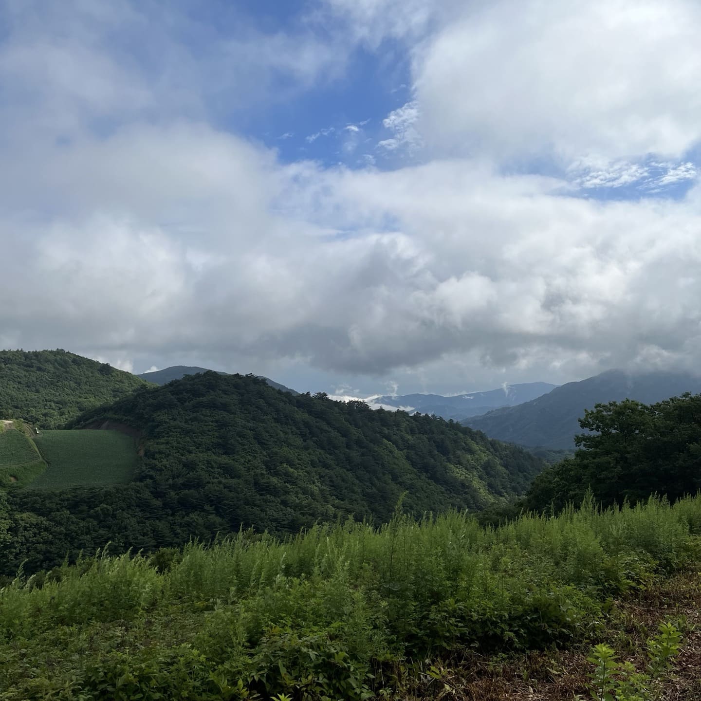 안반데기관광농원