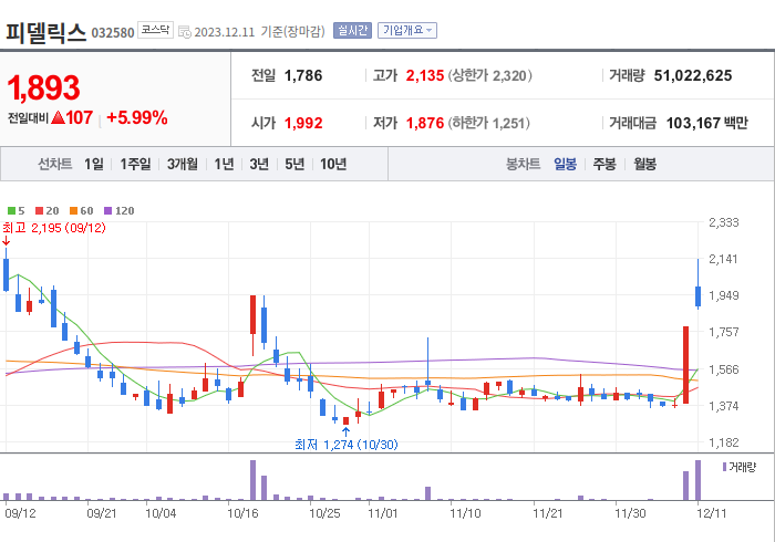 피델릭스 3개월 주가(일봉)