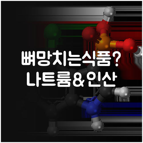 뼈에 안 좋은 음식 나트륨과 인산의 ..