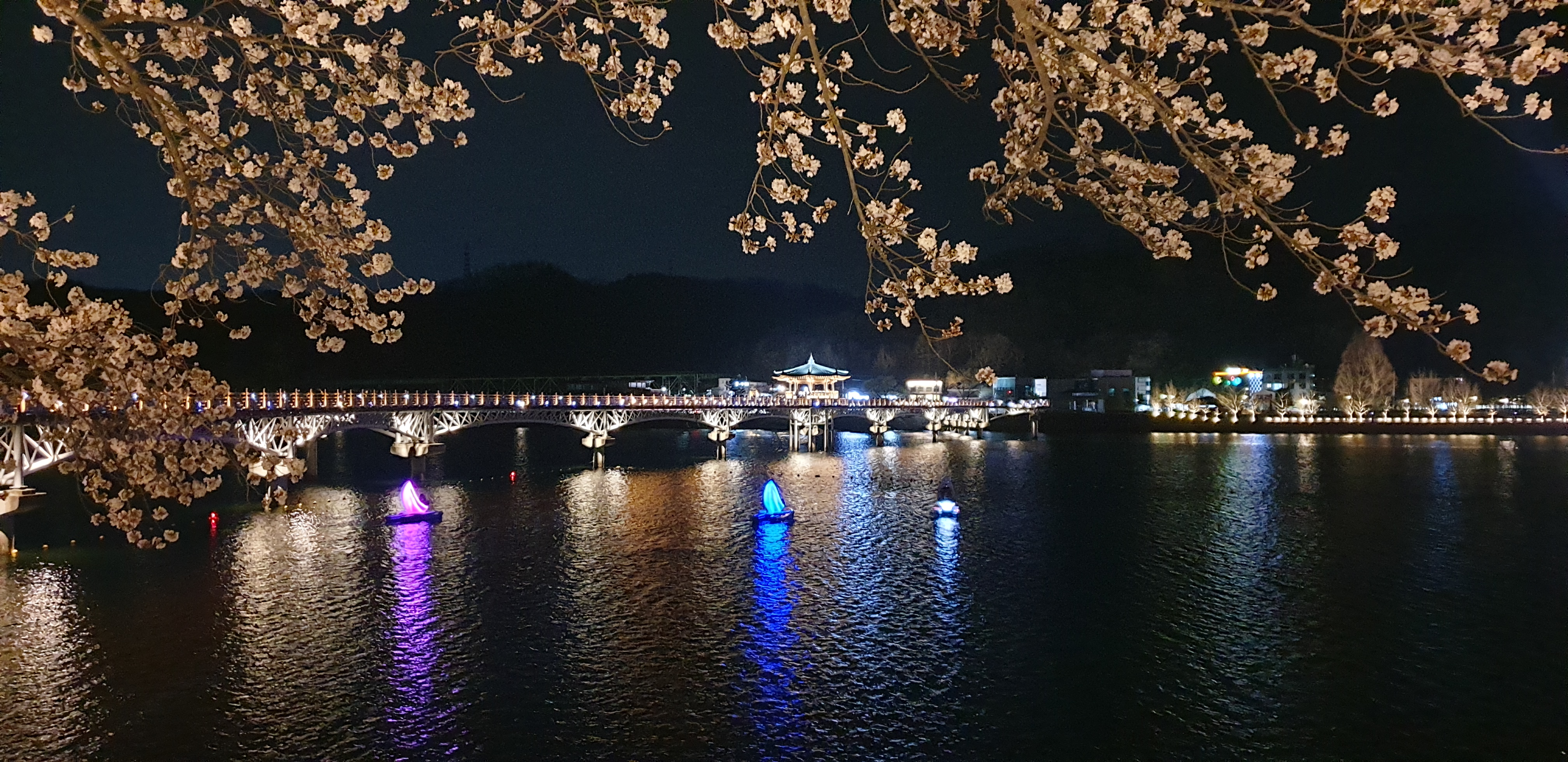 봄꽃