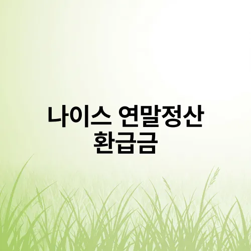 나이스 연말정산 환급금