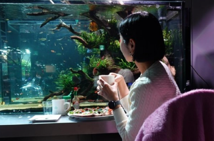 가평 신비동물원