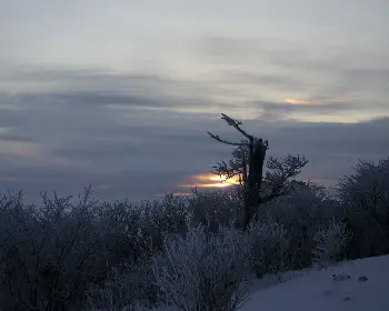 태백산 국립공원 실시간 cctv_25