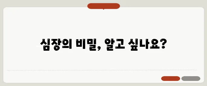 심계항진 증상 심장이 두근거리는 이유