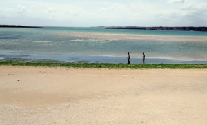 2024년 제주도 해수욕장 BEST 12