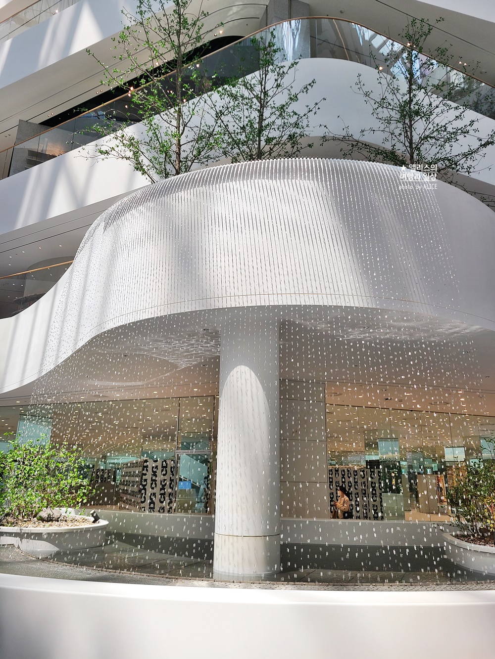 예쁜 백화점, 더 현대 서울, 카페 H라운지 무료 음료 쿠폰 + 추가 포인트 받는 방법