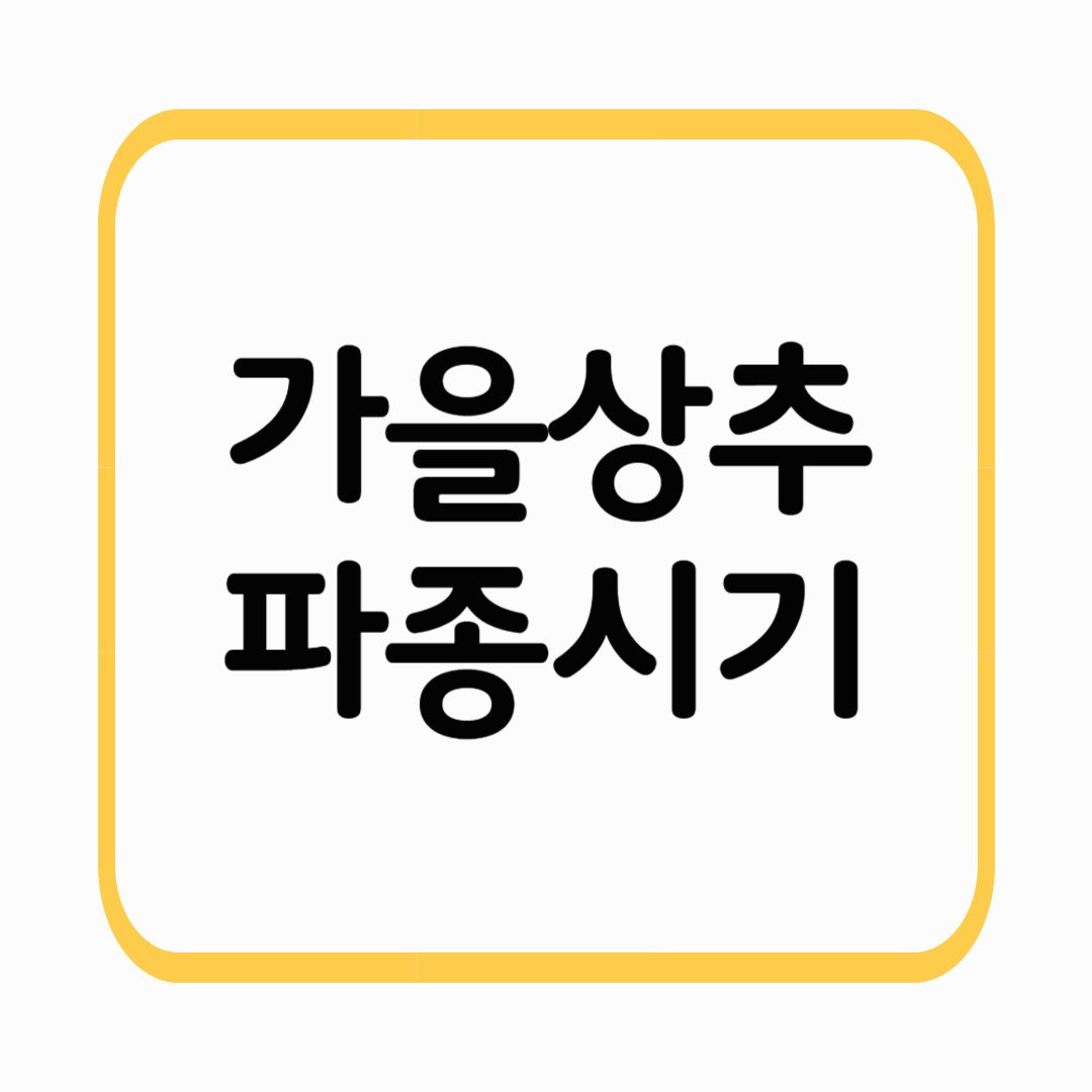 가을상추 파종시기 지금 준비하세요! 품종&middot;재배&middot;수확 노하우까지