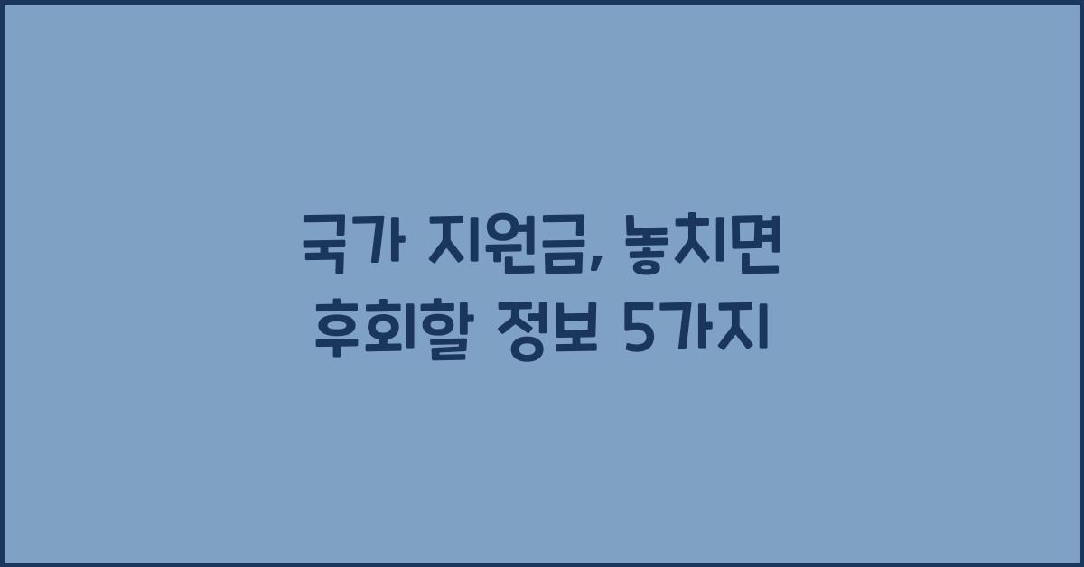 국가 지원금