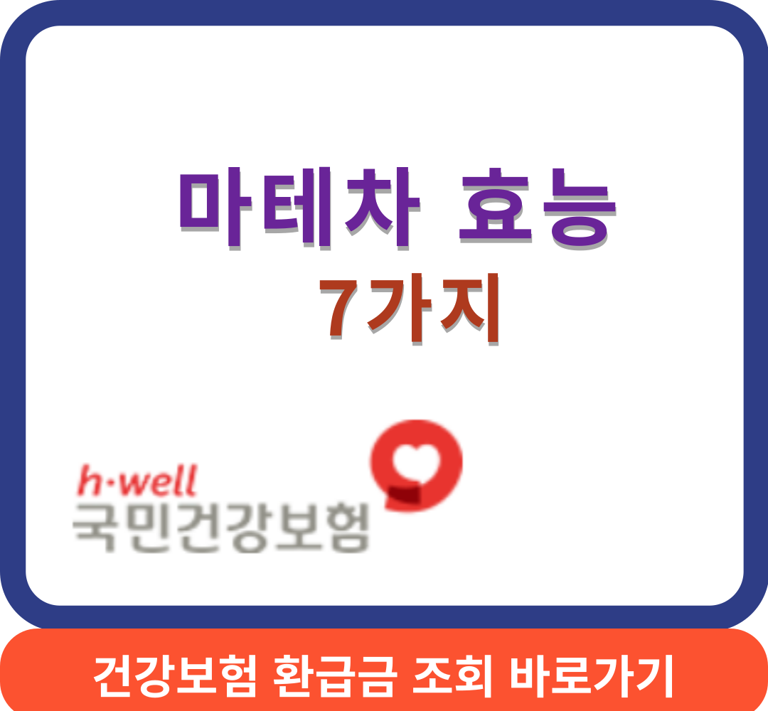 마테차효능썸네일