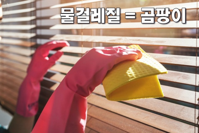블라인드 청소 방법, 우드 블라인드 청소, 나무 블라인드 청소, 블라인드 청소솔,팁줌 매일꿀정보