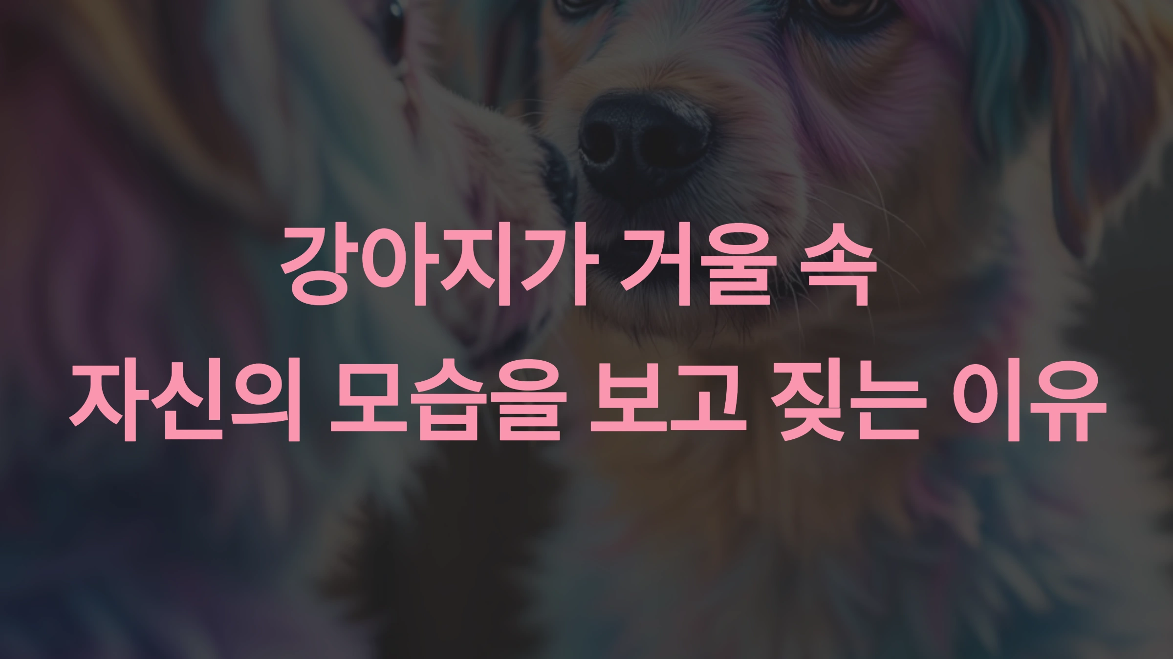 강아지가 거울 속 자신의 모습을 보고 짖는 이유