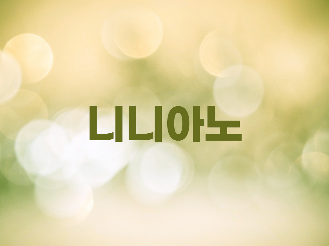 니니아노 천주교 남자세례명