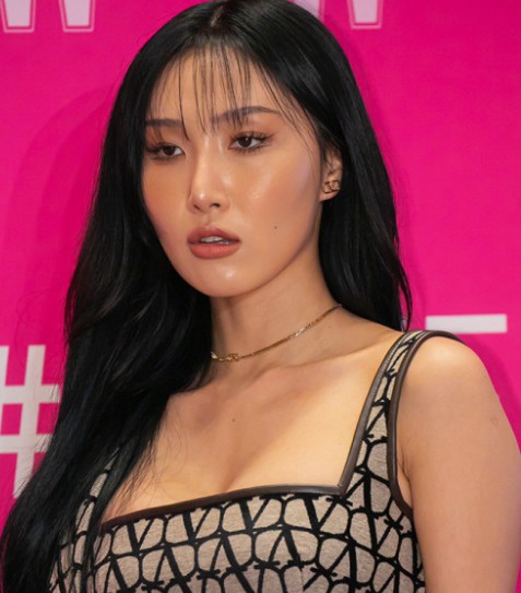 마마무 화사 금전 사기 피해