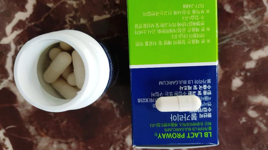 불가리아 유산균