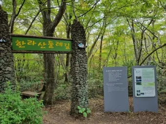 제주 한라산 둘레길 난이도 대중교통 날씨 팁_10