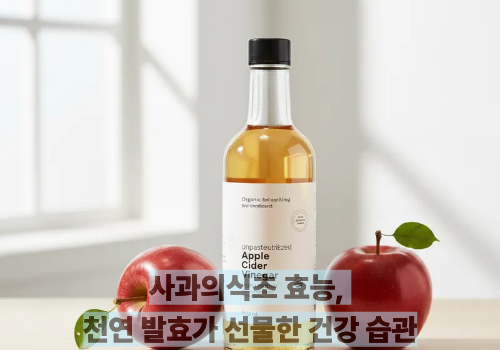 사과의식초 효능, 천연 발효가 선물한 건강 습관
