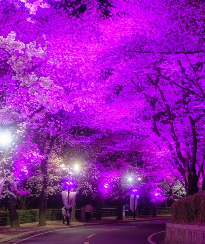 대구 이월드 자유이용권 할인