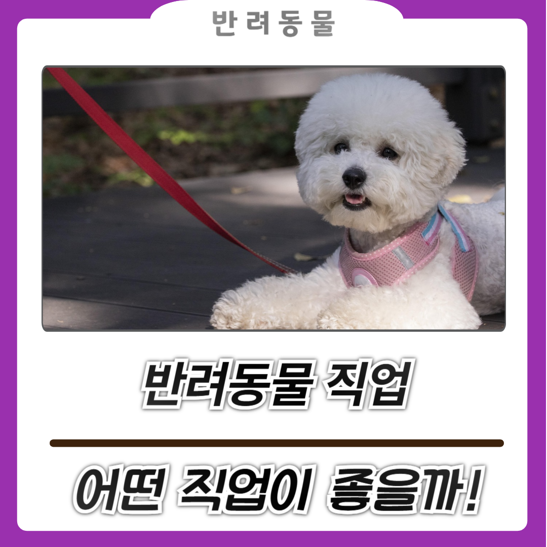 반려동물 관련 직업