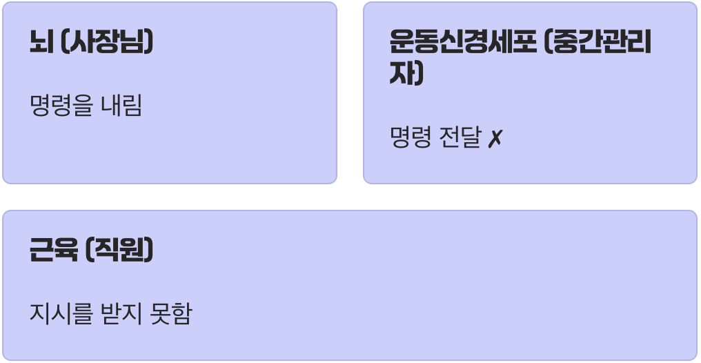 뇌의 명령이 전달되지 않는 병