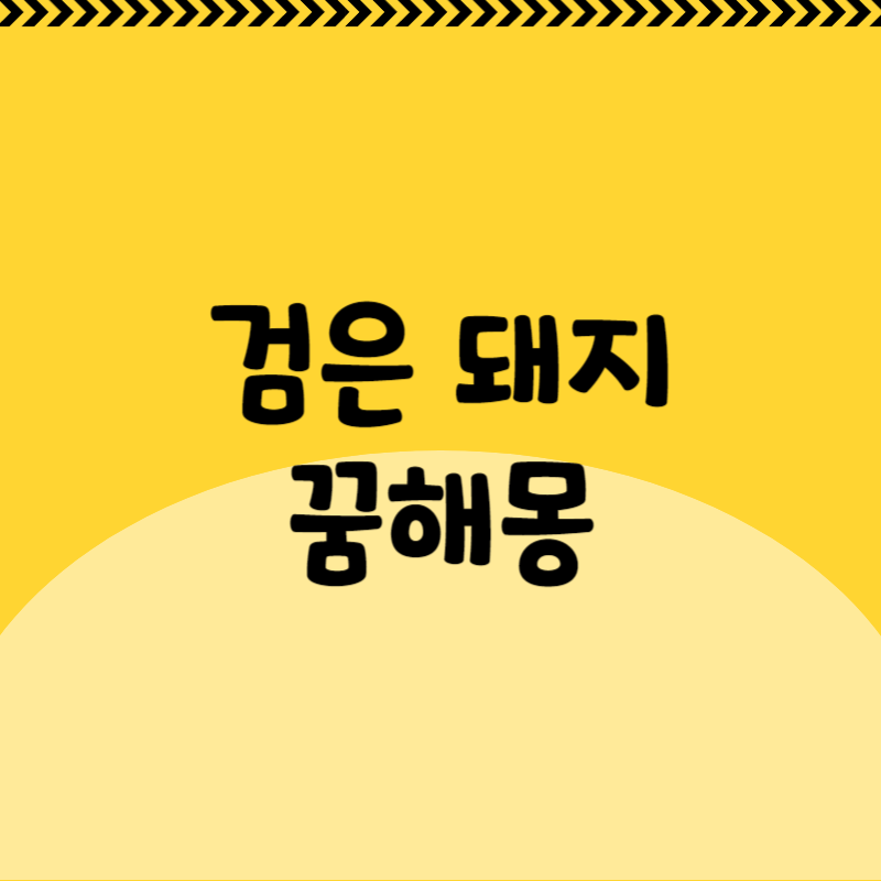 검은 돼지 꿈해몽