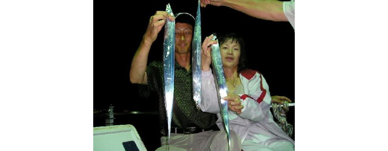 목포시 낚시용품