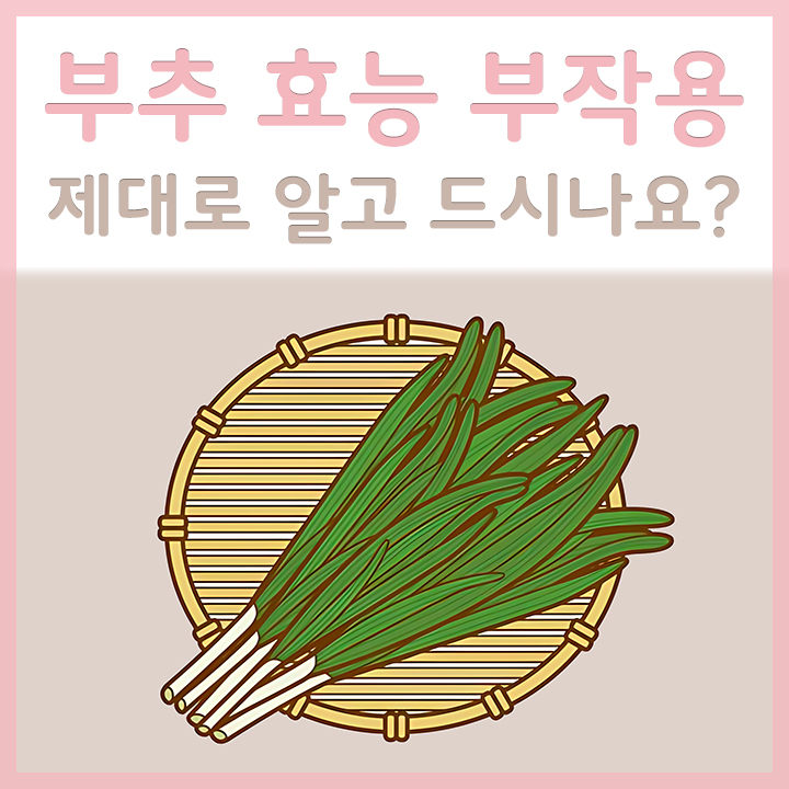 신선한-부추