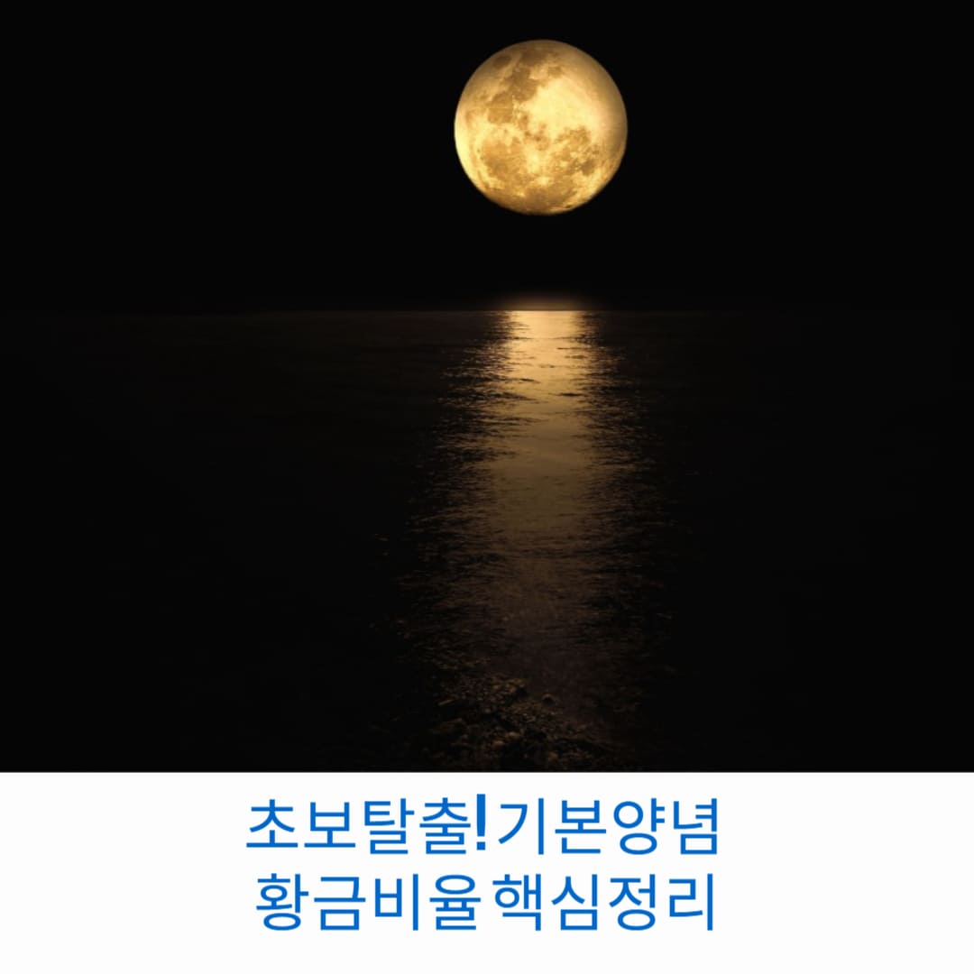 초보탈출-기본양념-황금비율-핵심정리-썸네일