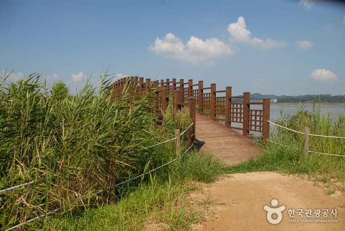 서천 가볼만한곳 베스트10