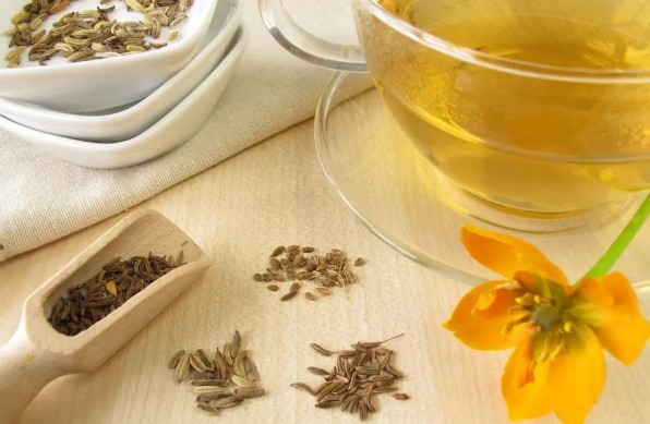 장에 좋은 차 / 장염에 좋은 차 - 회향차 효능