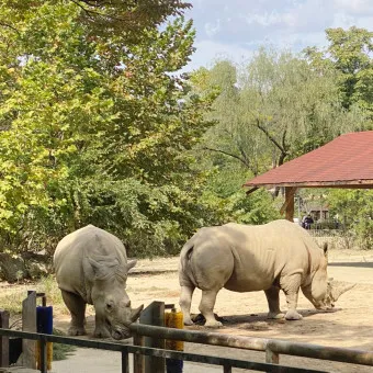 서울대공원 캠핑장 둘레길 동물원 입장료 맛집_19
