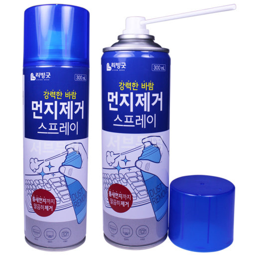 내부 청소: 먼지 제거