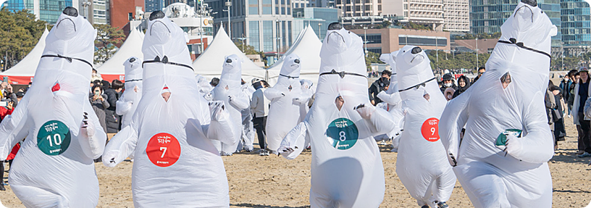 해운대 북극곰 축제