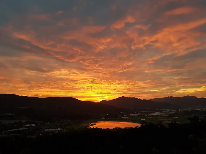 보성 컨트리클럽 (보성CC) 소개 및 이용방법