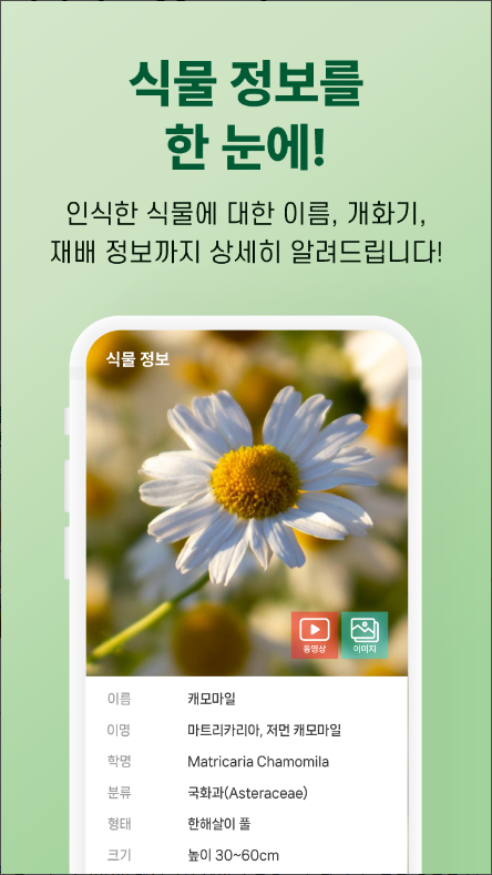 한국 꽃 이름 찾기, 꽃을 사진 찍으면 AI가 꽃의 이름 찾주는 앱