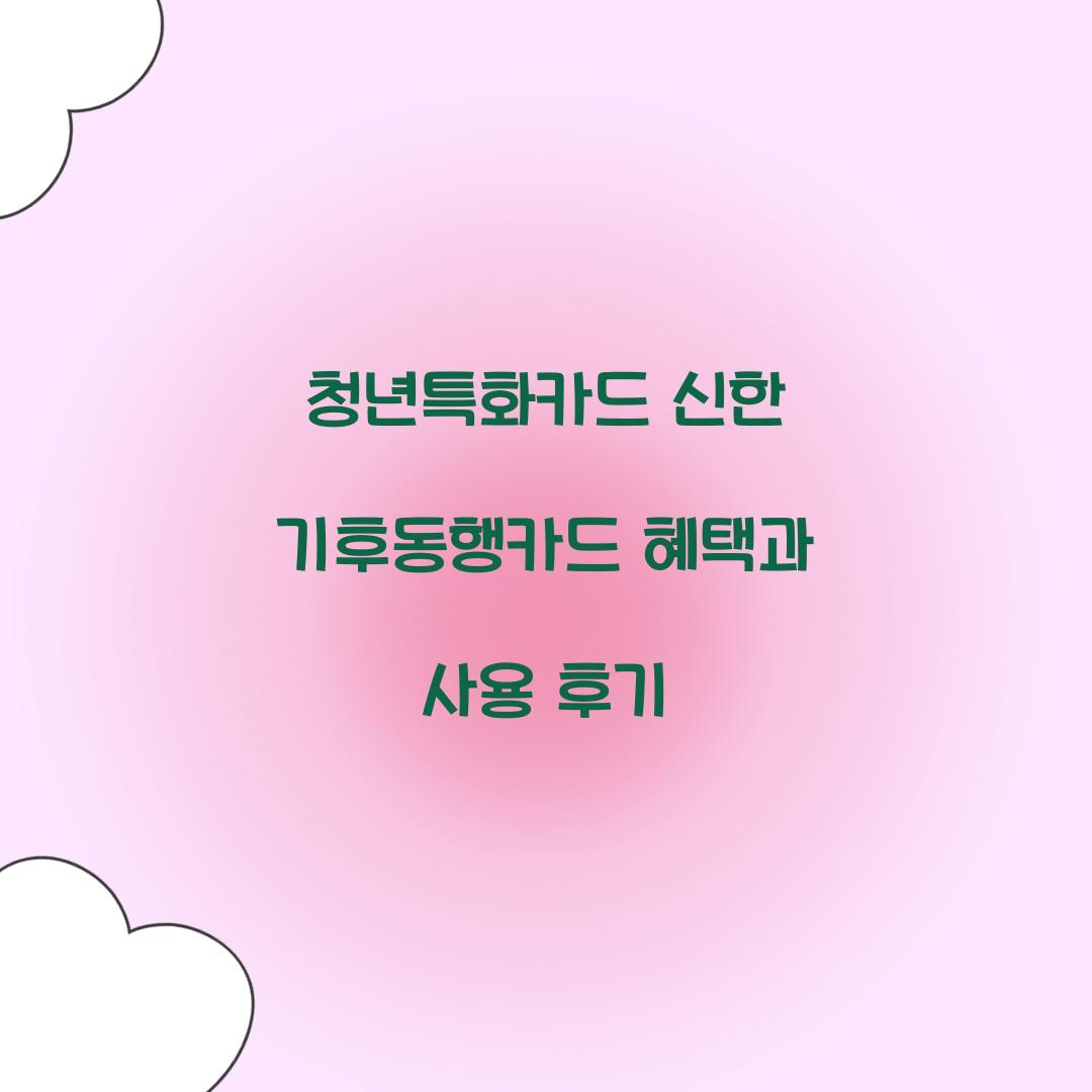 청년특화카드 신한 기후동행카드