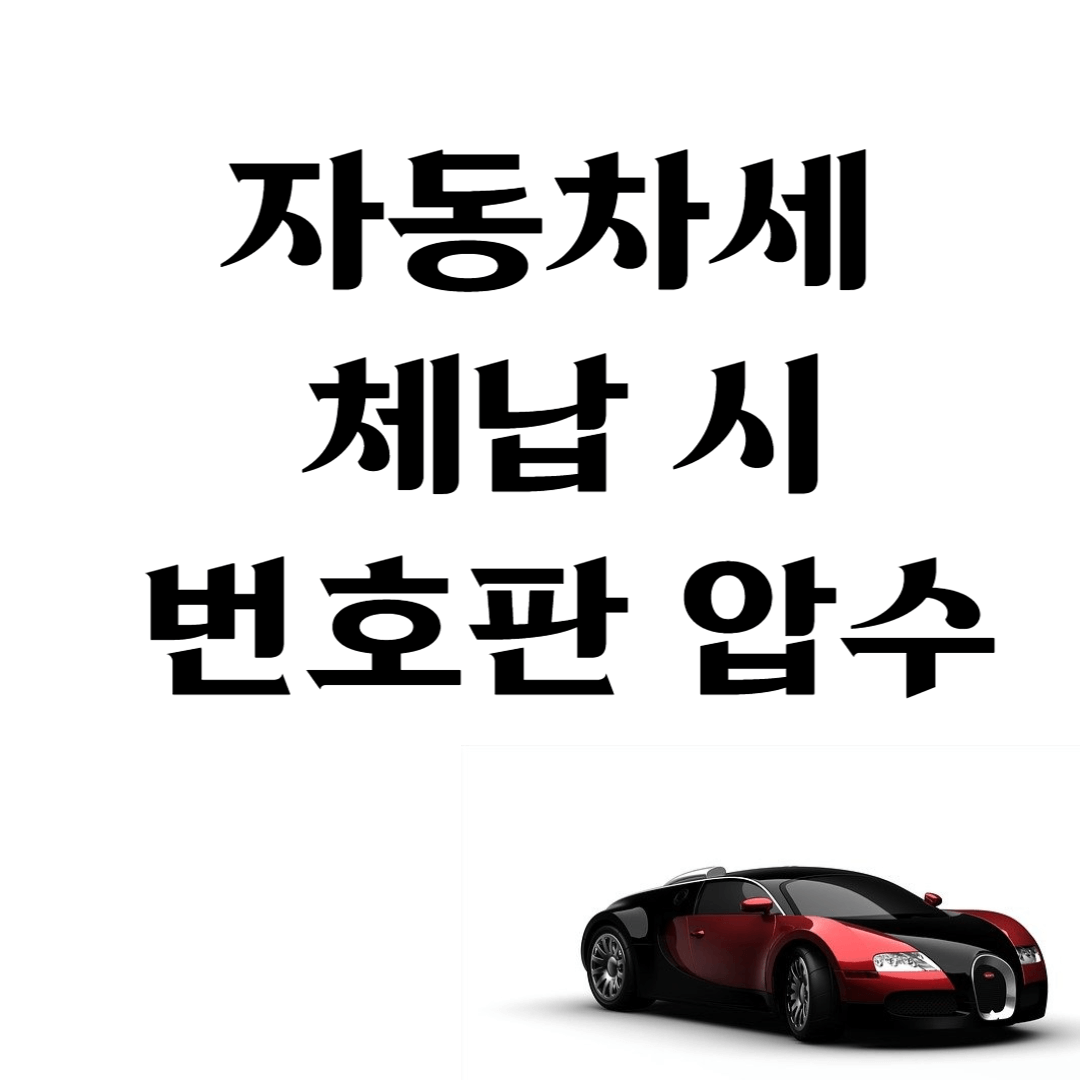 자동차세 체납조회