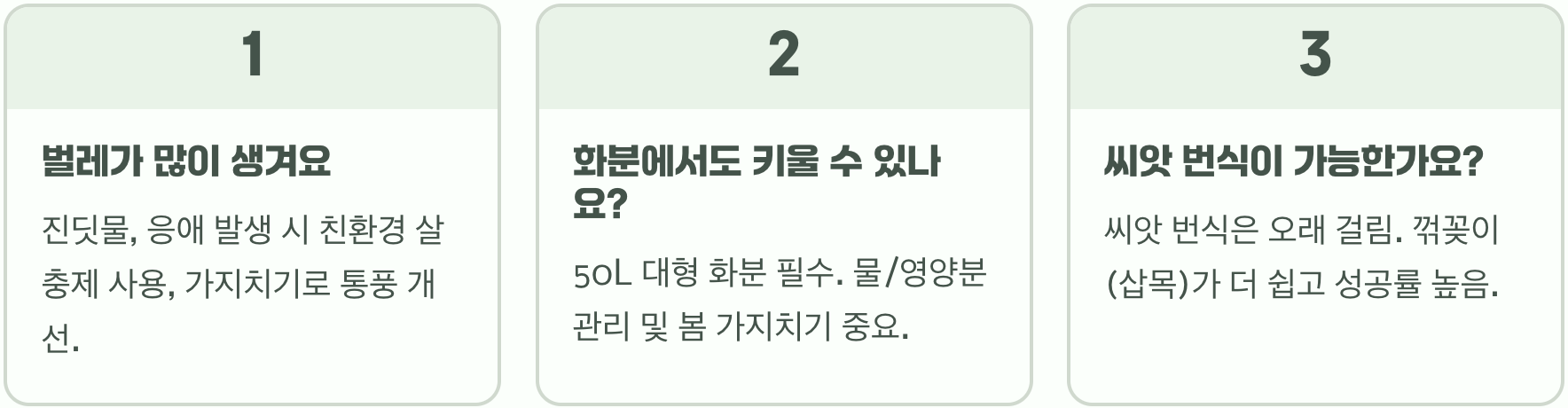 초보 정원사를 위한 부용 키우기, 묘목 심기부터 월동까지 A to Z